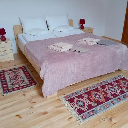Pensiunea Casa Hann *