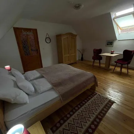 Farm stay Pensiunea Casa Hann Apold